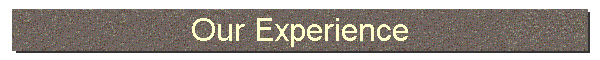 Our Experience